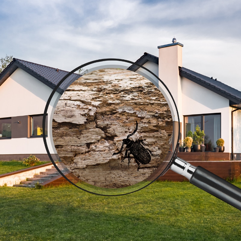 Homme professionnel souriant en gilet de travail. Portrait professionnel d'un homme souriant dans un gilet de travail bleu gris. Expression confiante.